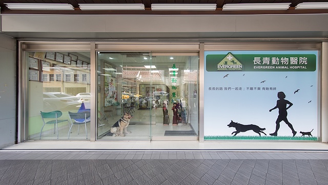 長青動物醫院