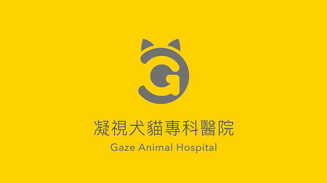 凝視犬貓專科醫院