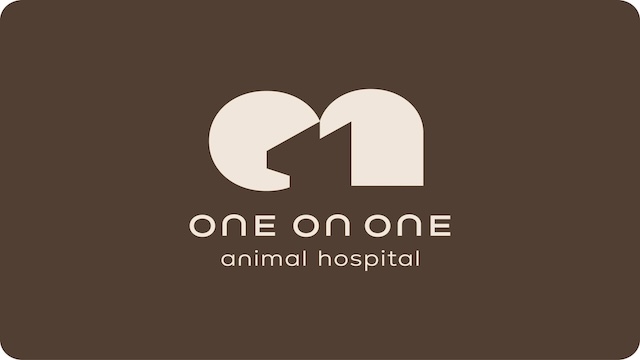 為了一隻狗開一家動物醫院