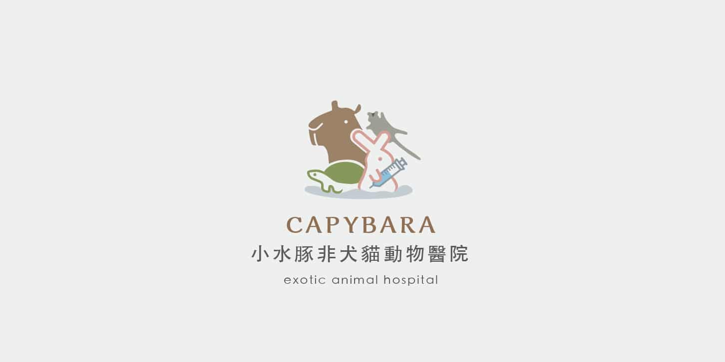 小水豚非犬貓動物醫院