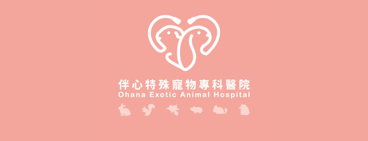 伴心特殊寵物專科醫院
