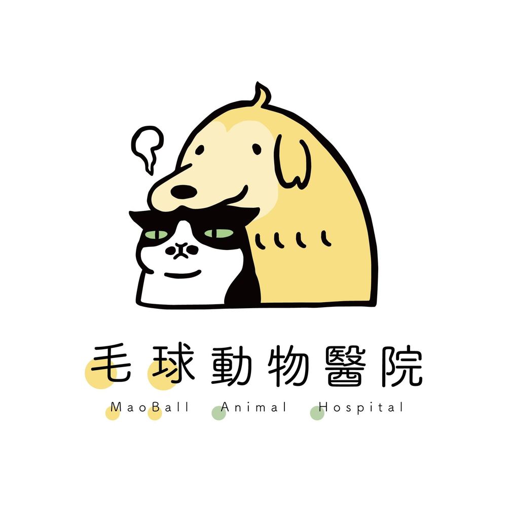 毛球動物醫院