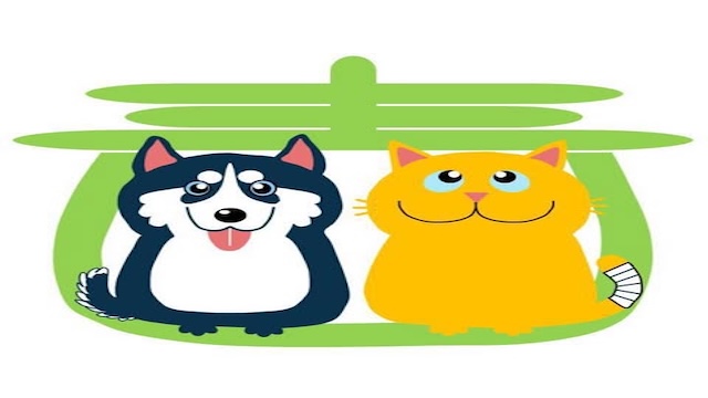 中壢青青動物醫院