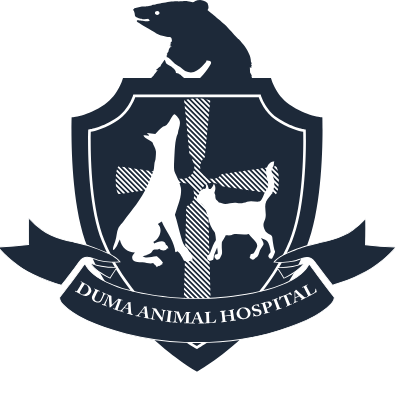 中和杜瑪動物醫院