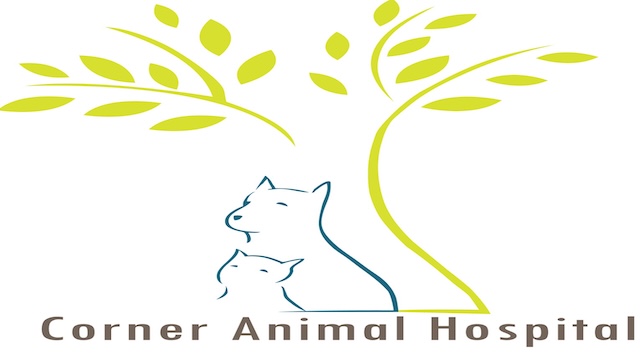 角落動物醫院
