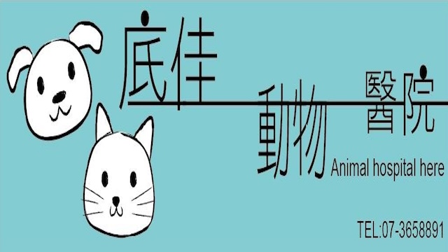 底佳動物醫院