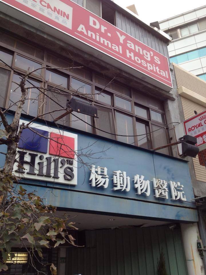 楊動物醫院