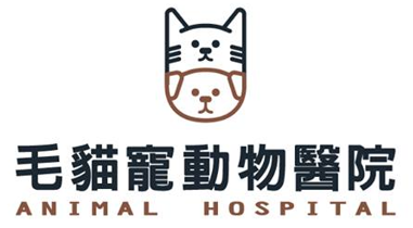 毛貓寵動物醫院
