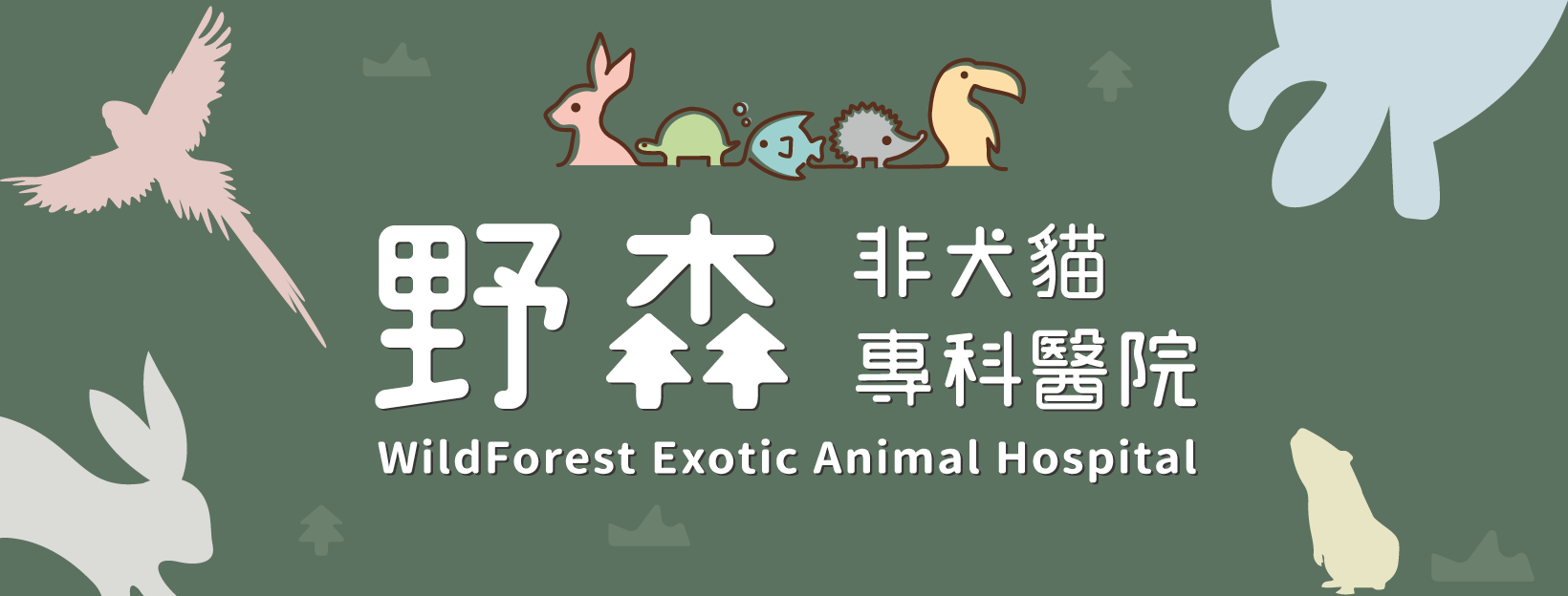 野森非犬貓專科醫院