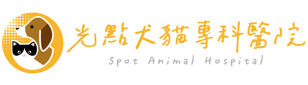 光點犬貓專科醫院