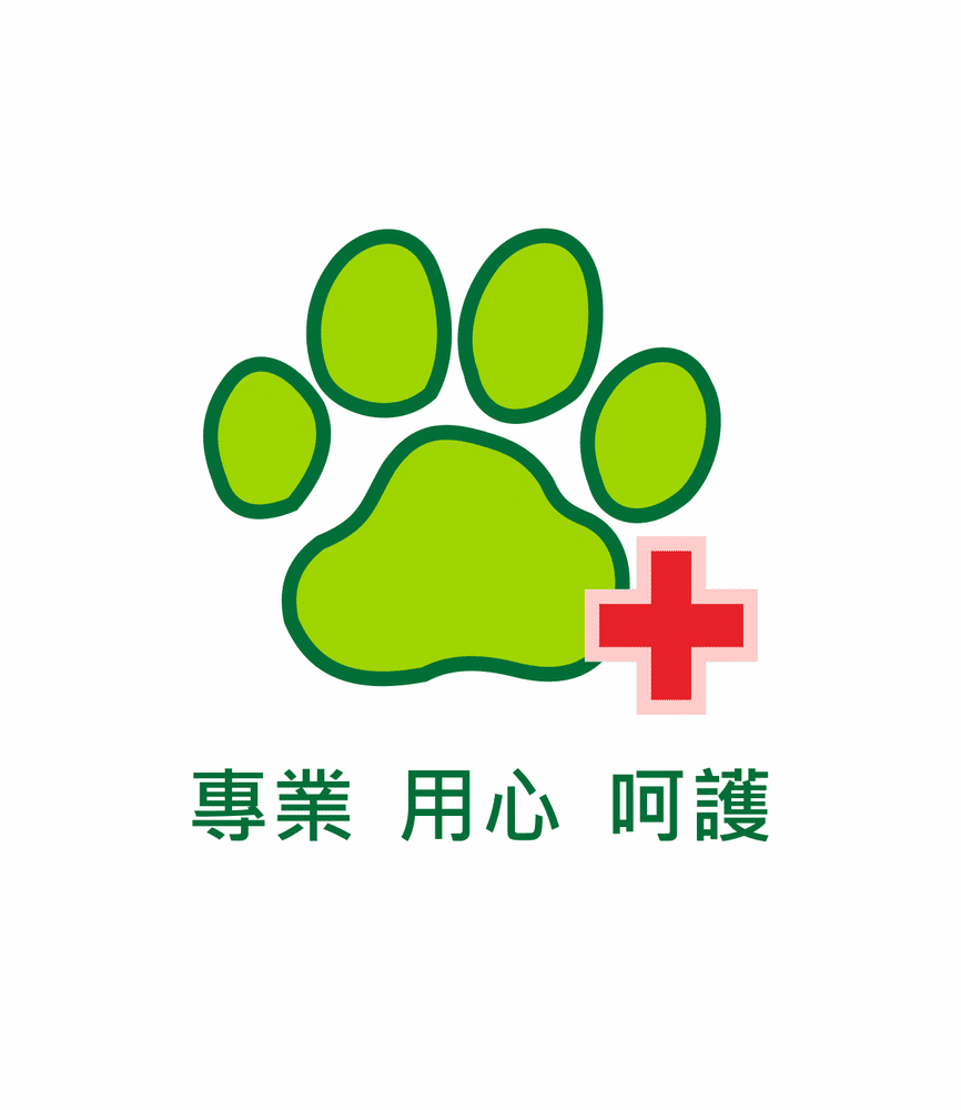 猩猩狐狸動物醫院